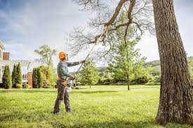 Best Tree and Shrub Care  in Coleman, TX