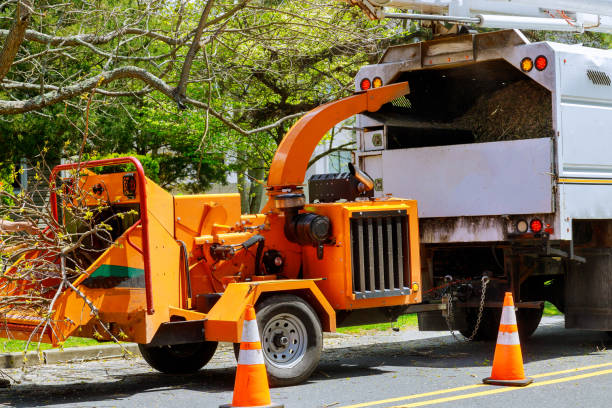 Best Commercial Tree Services  in Coleman, TX